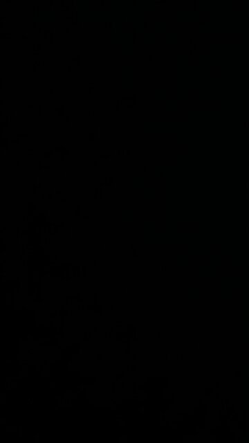 Border is more important than funding Ukraine 🇺🇸