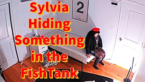 Sylvia Hiding Something in the FishTank