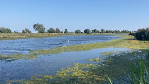 NYC National Parks: Garden Loop Trail @ Jamaica Bay Wildlife Refuge (Broad Channel, Queens)