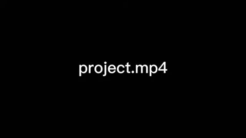 project.mp4