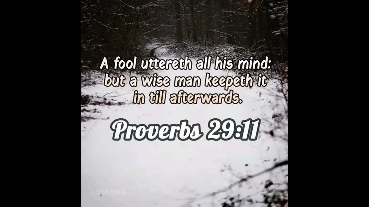 Proverbs 29:11 (KJV)