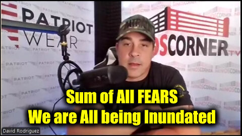 David Rodriguez 'Sum of All Fears' - We Are All Being Inundated