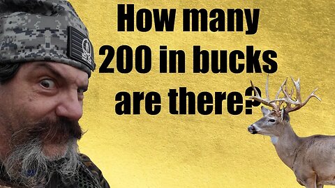 How many 200 INCH Bucks are out there