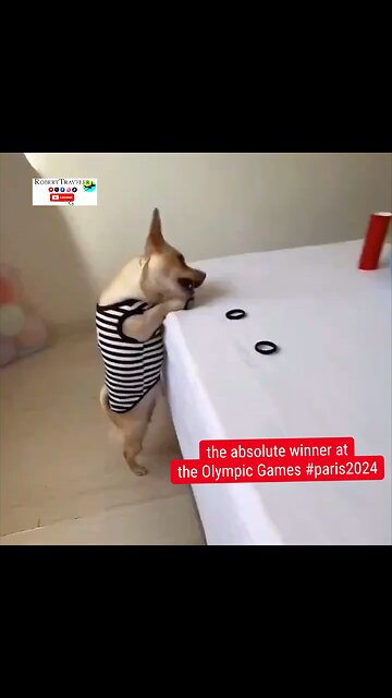 the absolute winner at the Olympic Games #paris2024