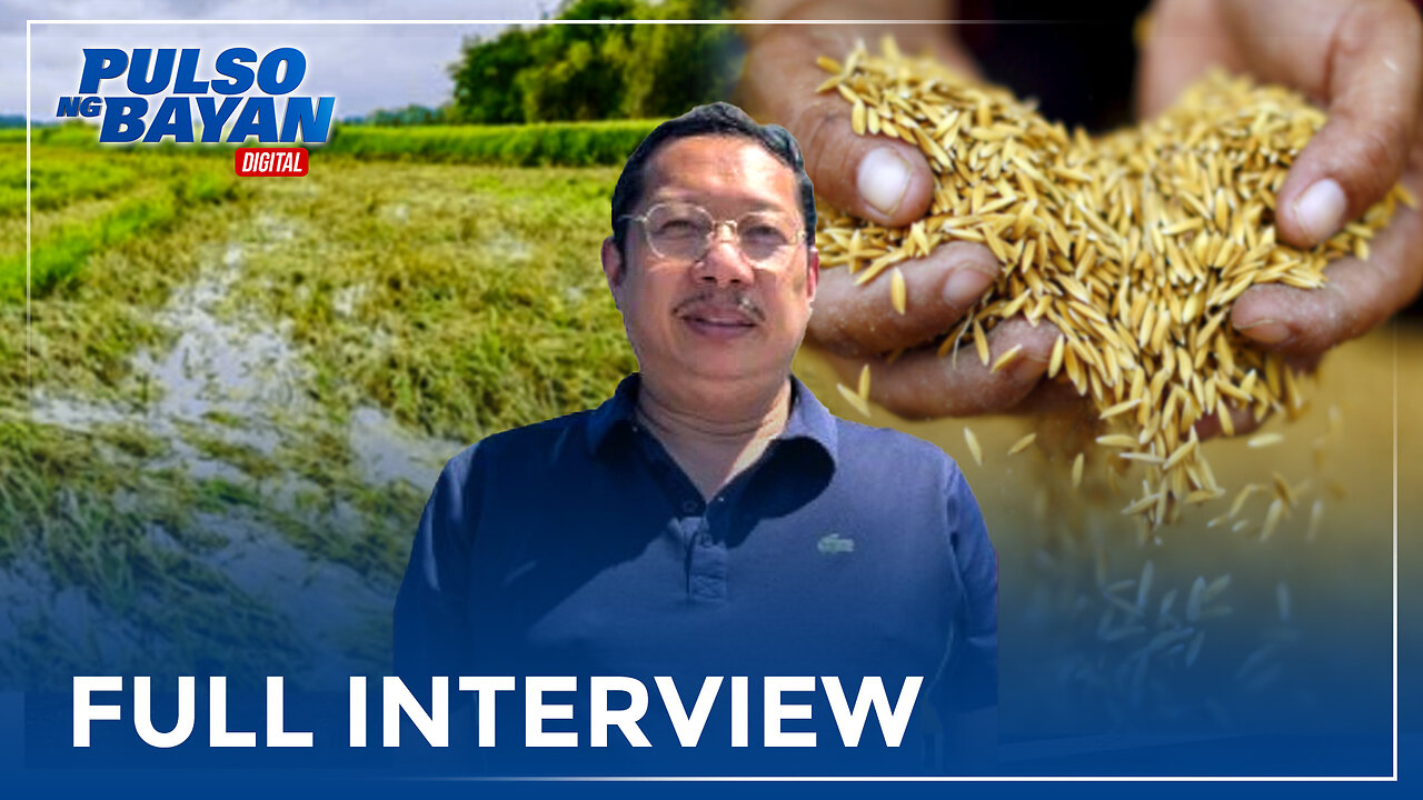 Agri Group, nababahala sa posibleng pagbagsak pa ng presyo ng palay dahil sa Bagyong #Kristine
