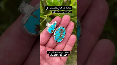 فيروزي نيشابوري