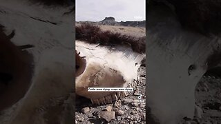 You won't believe this