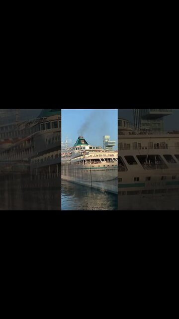 Montréal booming tourism #viralvideo #montreal #montrealtourism