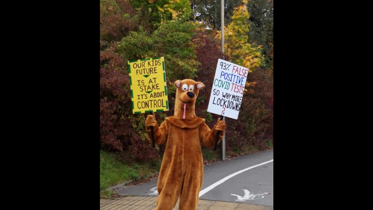 Scooby Doo Portwood Roundabout 12th October 2020