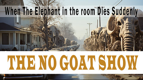 When The Elephant in The Room Dies Suddenly. The No Goat Show