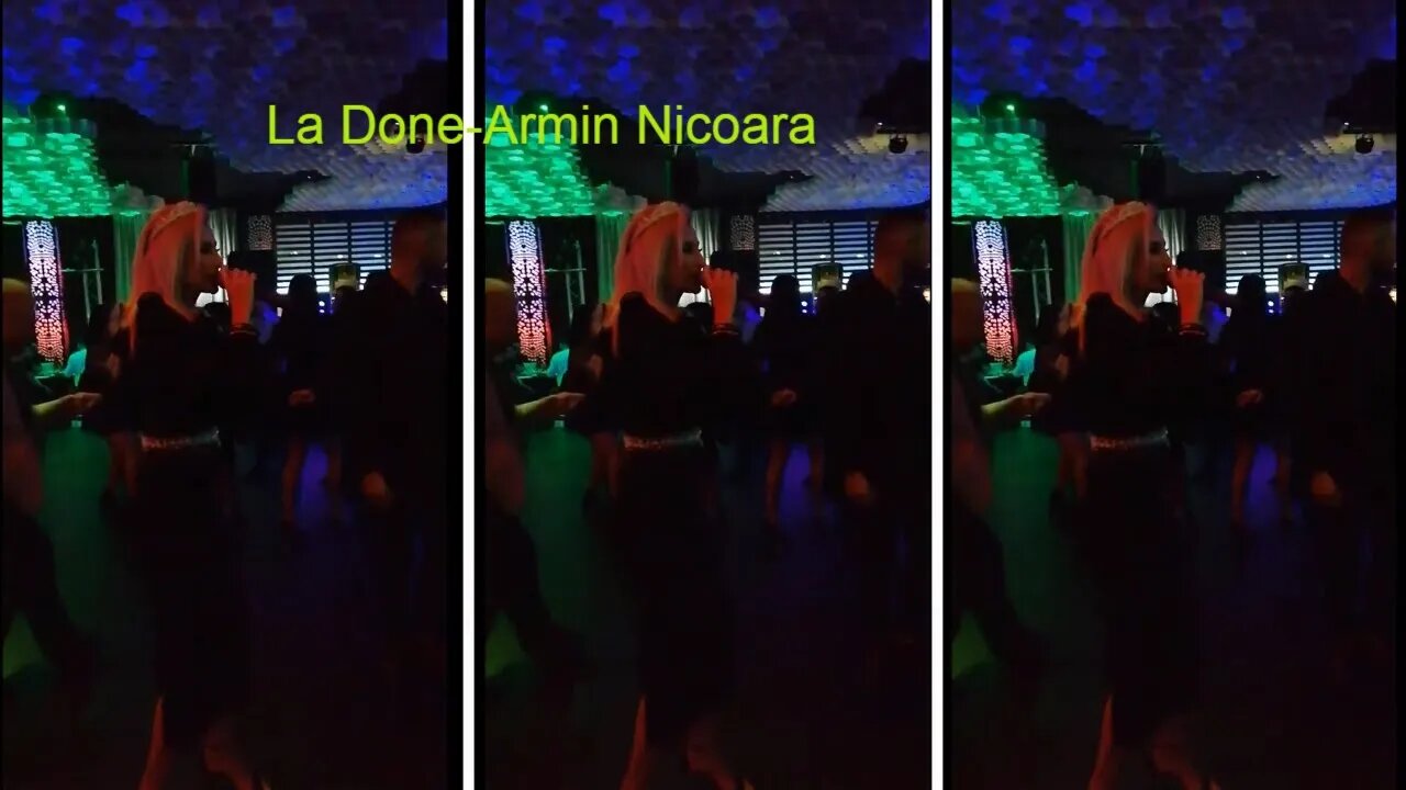 Petrecere Romaneasca Graz Armin Nicoara