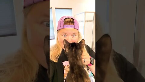 Kitty Kisses 😽 #summerloadingwithyoutube #shorts #cat