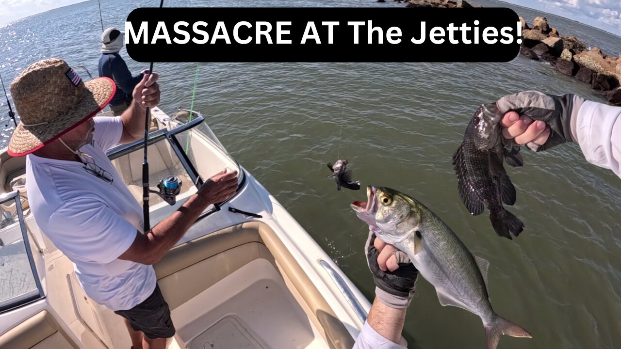 Charleston, SC: MASSACRE At the Jetties