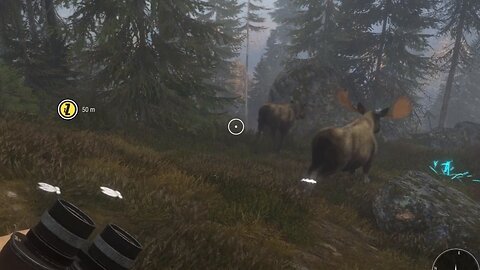 I Felt Like my Brain about to explode - The Hunter Call Of The Wild