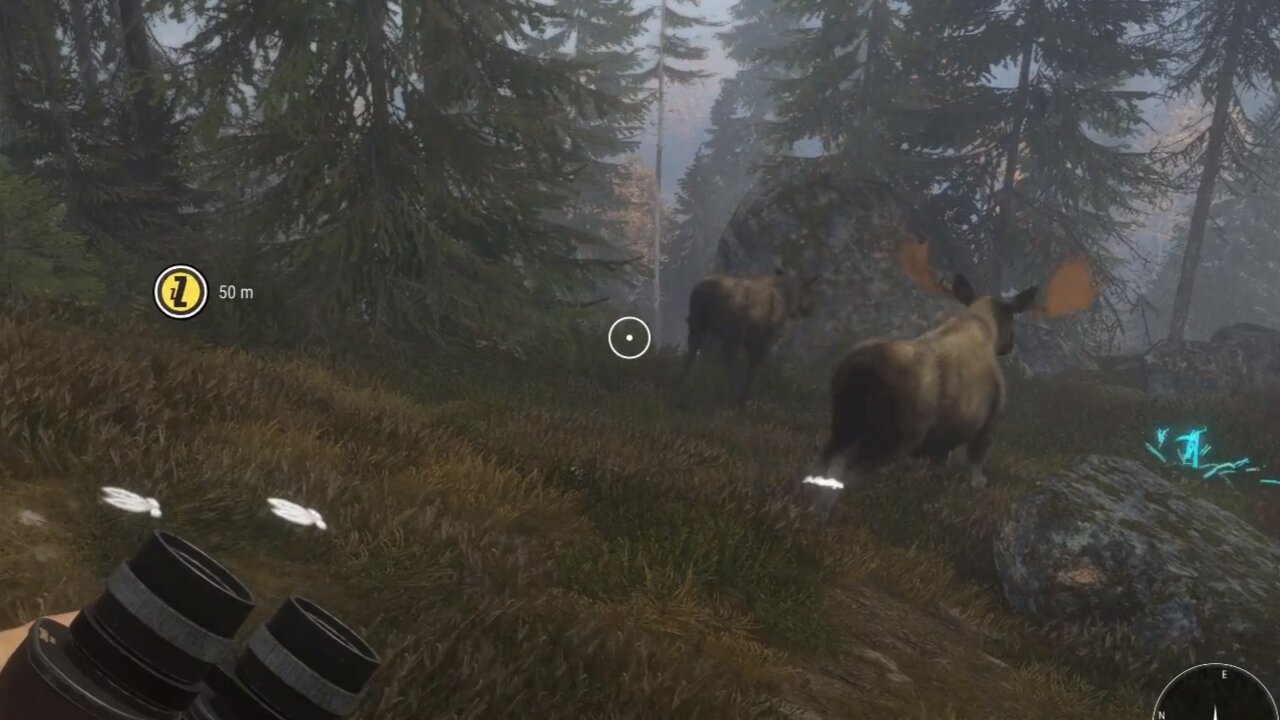 I Felt Like my Brain about to explode - The Hunter Call Of The Wild