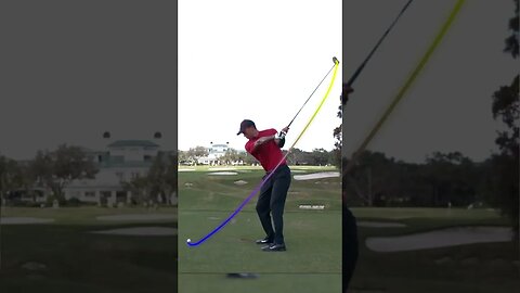 I Don't Know How to Feel About This...| Golf Essentials #golf #golfessentials #shorts #short