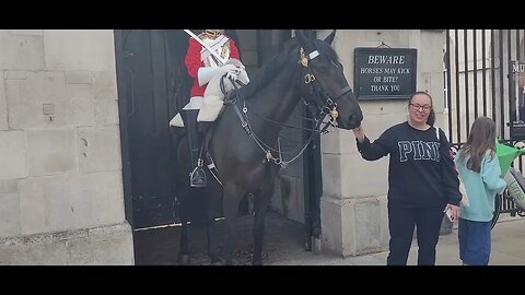 Do not touch the Reins #horseguardsparade