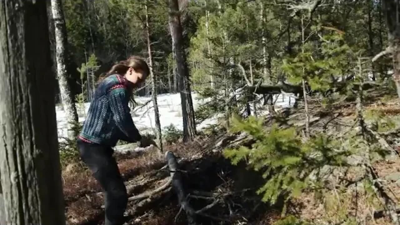 5 &&& Caught in a Storm! 3 Day Solo Bushcraft Building Shelter & Camping in Heavy Rain