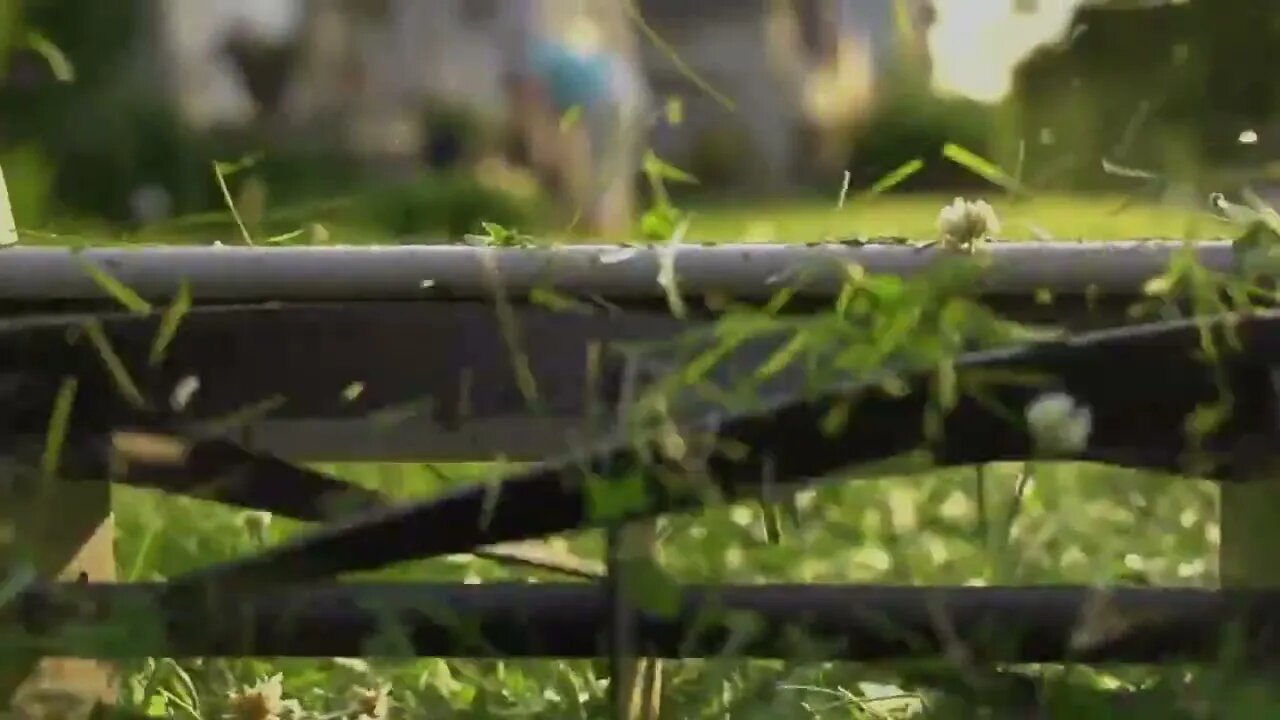 Beachfront B Roll Slow Motion Push Mower Free to Use HD Stock Video Footage