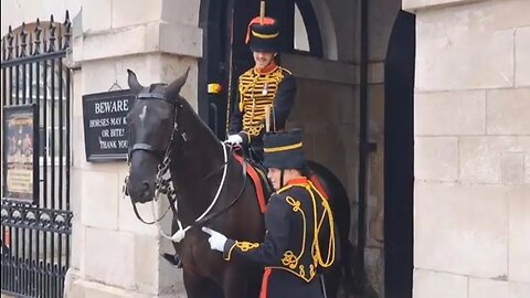 Don't bite me kings guard tells of horse being naughty 😜 #horseguardsparade