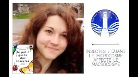 Morgane Peyrot - Insectes, quand le microcosme affecte le macrocosme
