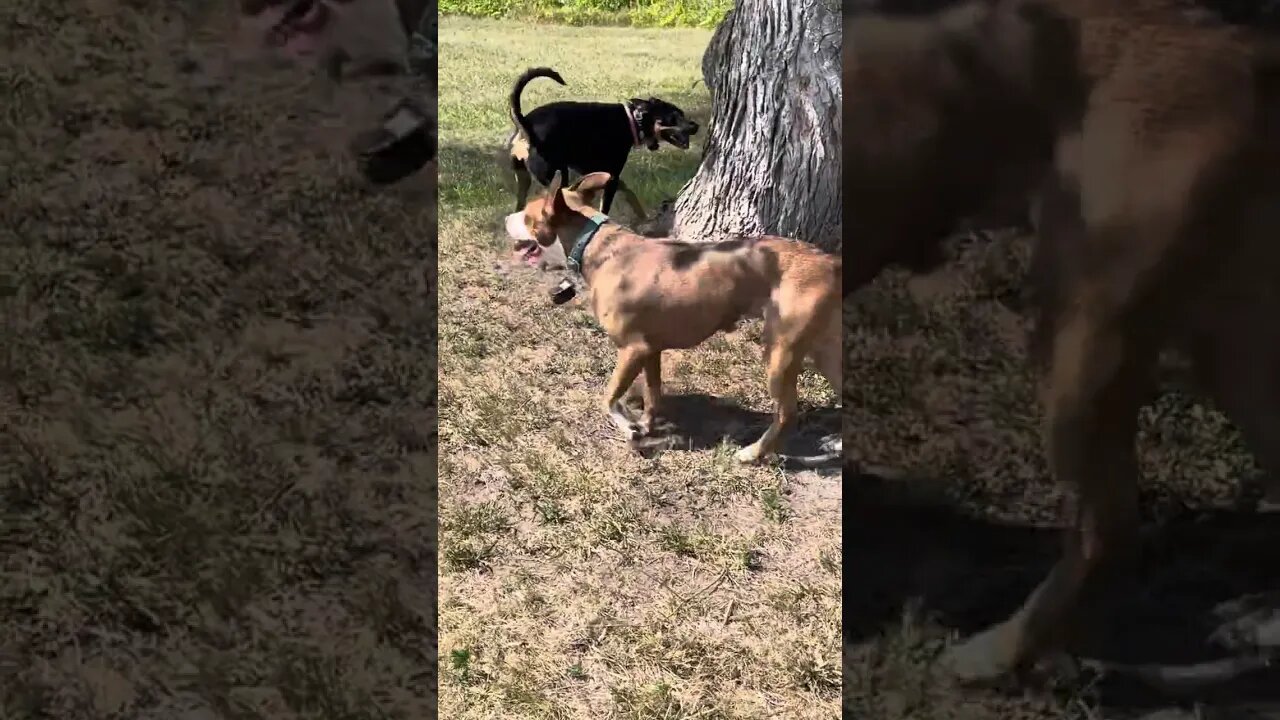 KingsRefuge presents Take 5. Episode 3