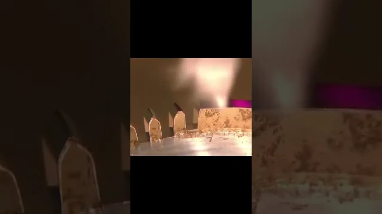most Popular video(4)