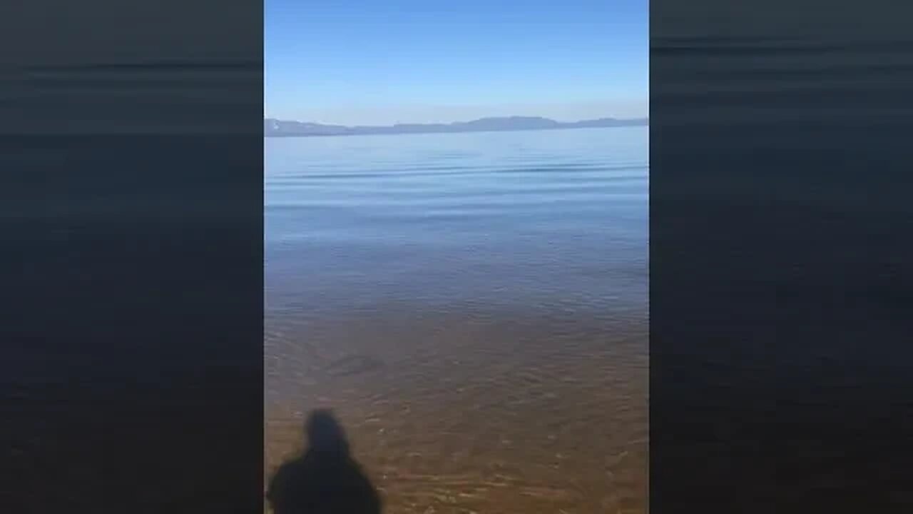 Tahoe Lake Snow Beach Nov 2022 Pano View