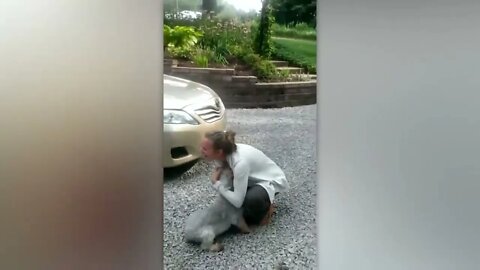 Animals Reunited With Owners After Years