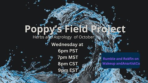 Poppy's Field Project 10/23/24