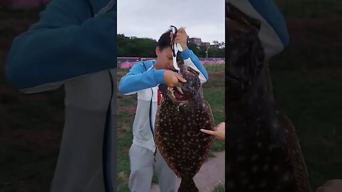 My 31" NYC Record Summer Flounder reeled up from side of Belt Parkway Rocks!!