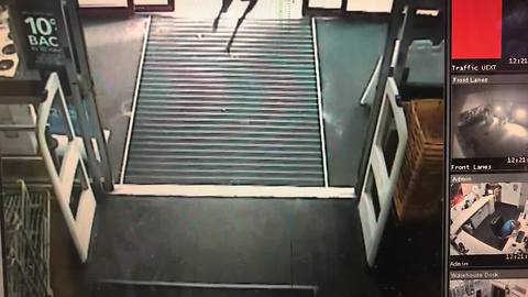 Deer walks into Best Buy in Novi