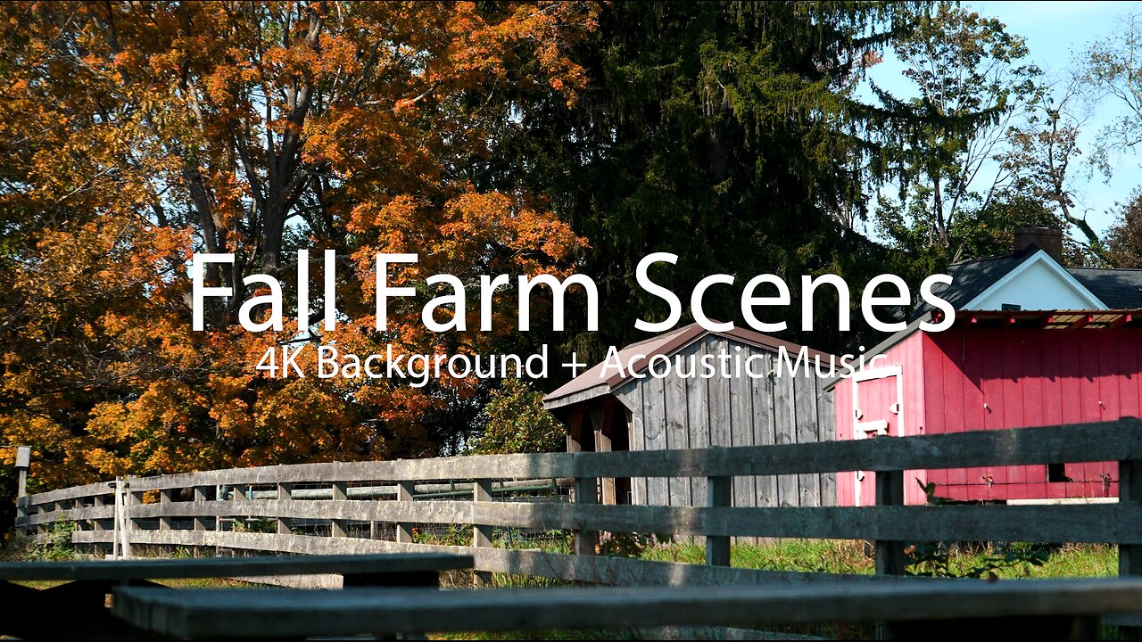 Stunning Fall Scenes | 4K Backgrounds with Calm Acoustic Music | Ideal for Relaxation