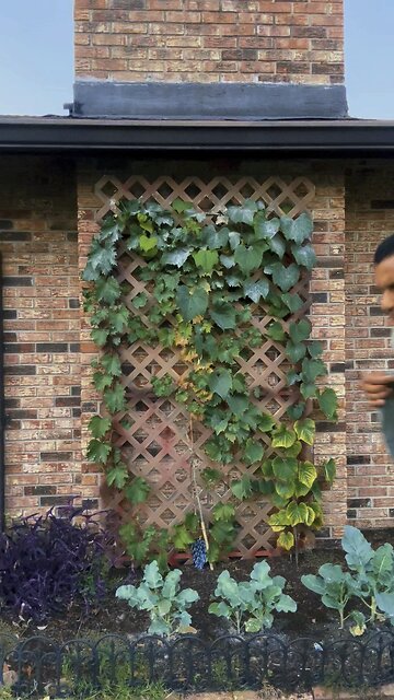 Have a I can do attitude