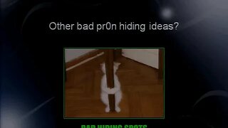 Hiding From Big Brother Using Distributed Steganography Josh Sokol and orlando Barrera II