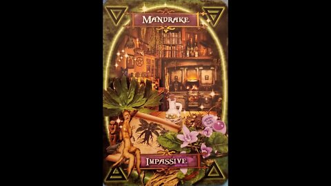 #26 Witches' Kitchen Oracle Card Mandrake