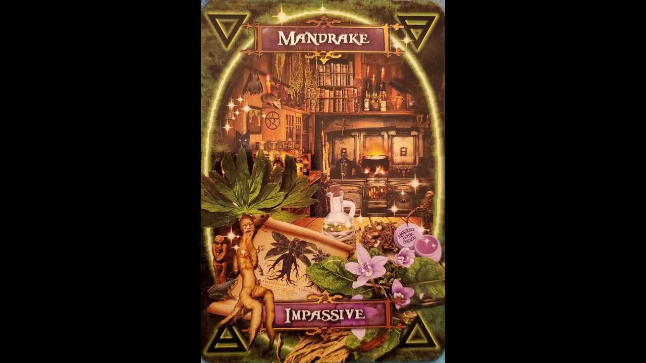 #26 Witches' Kitchen Oracle Card Mandrake