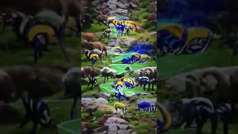 rams on field animation #shorts