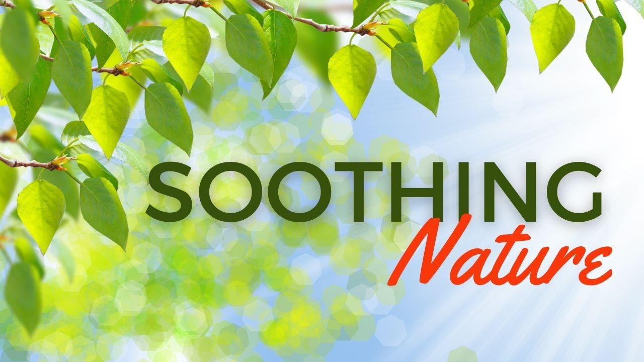 Soothing Nature _ Relaxing Background Video