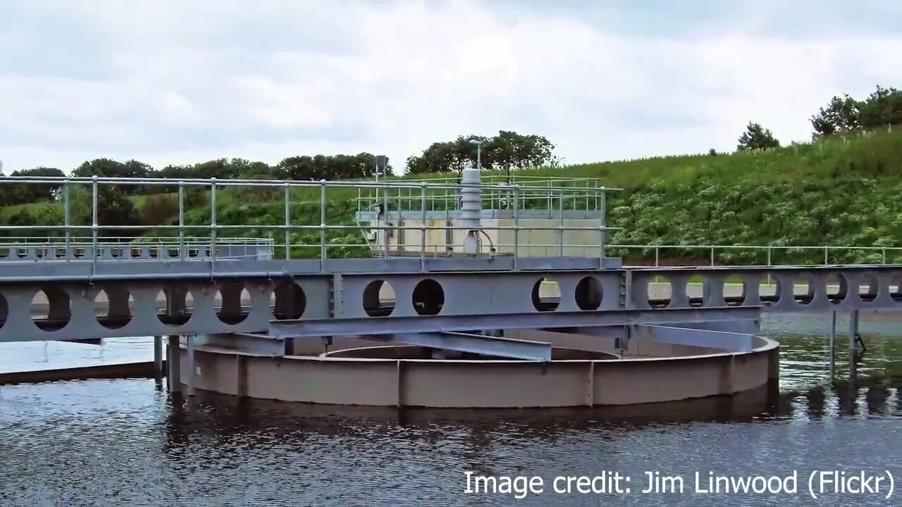 What happens after you flush the toilet on a cruise ship 9
