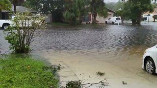 Hurricane Ian the morning after. Orlando, Florida