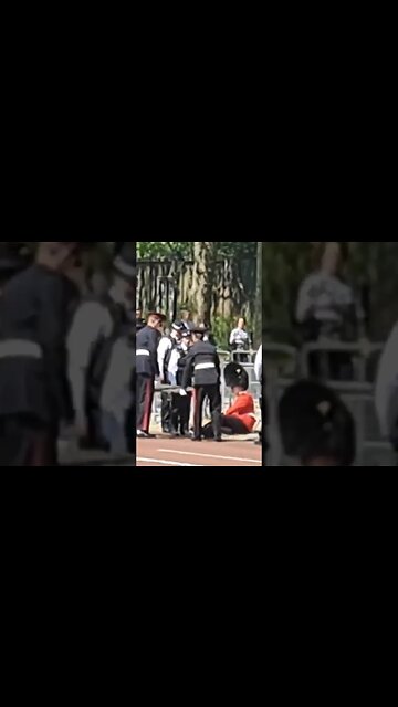 guard faints 30 degrees heat on the mall #buckinghampalace