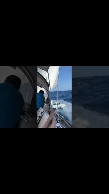 Sporty sailing off Antigua #shorts
