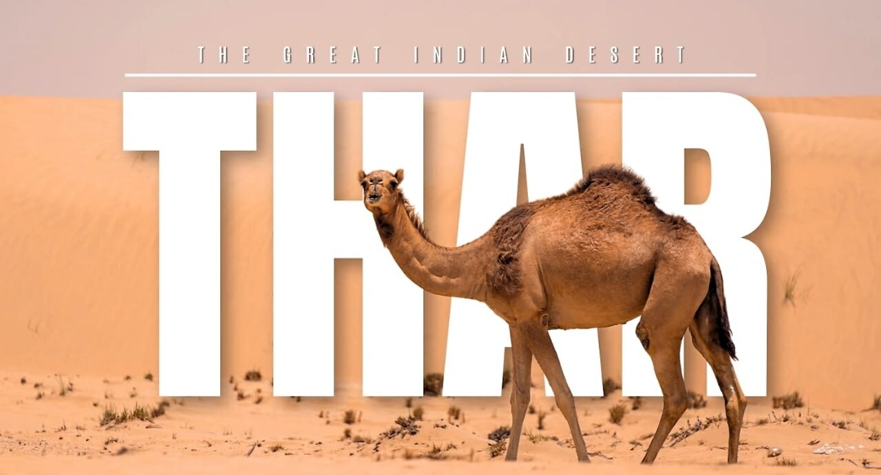 The Great Indian Desert