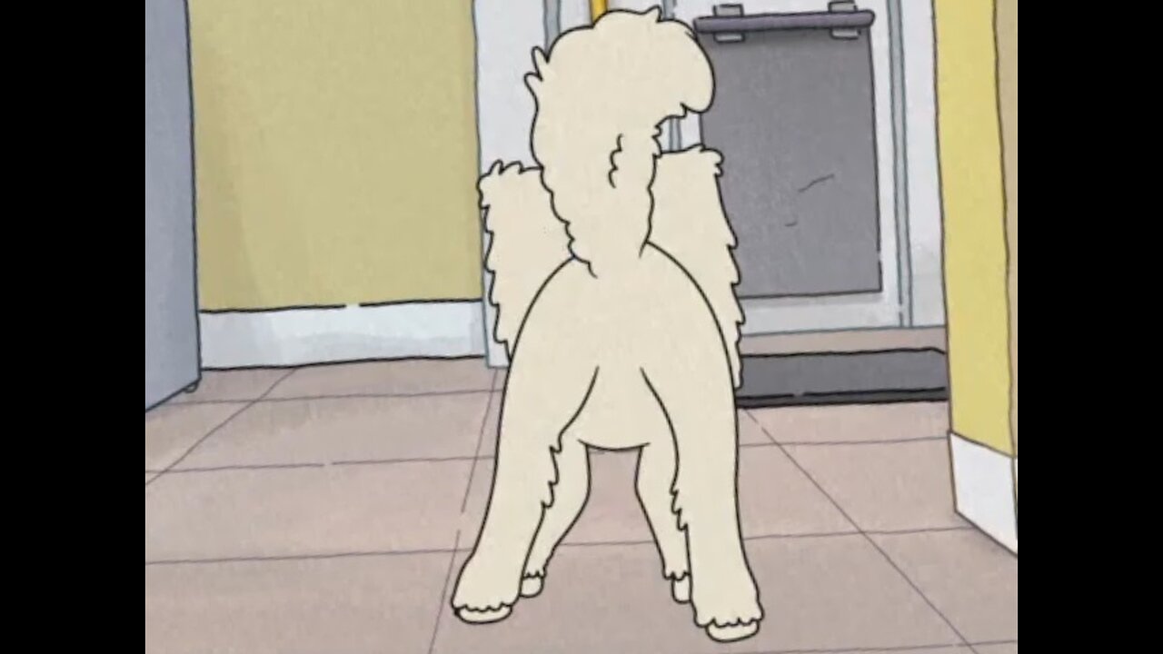 Honey Poodle Mutt Butt Moments - Who Did This?