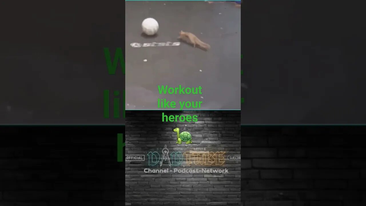 Squirrel Workout
