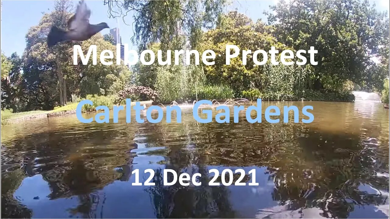 12 Dec 2021 - Melbourne Protest 04: East Lake at Carlton Gardens