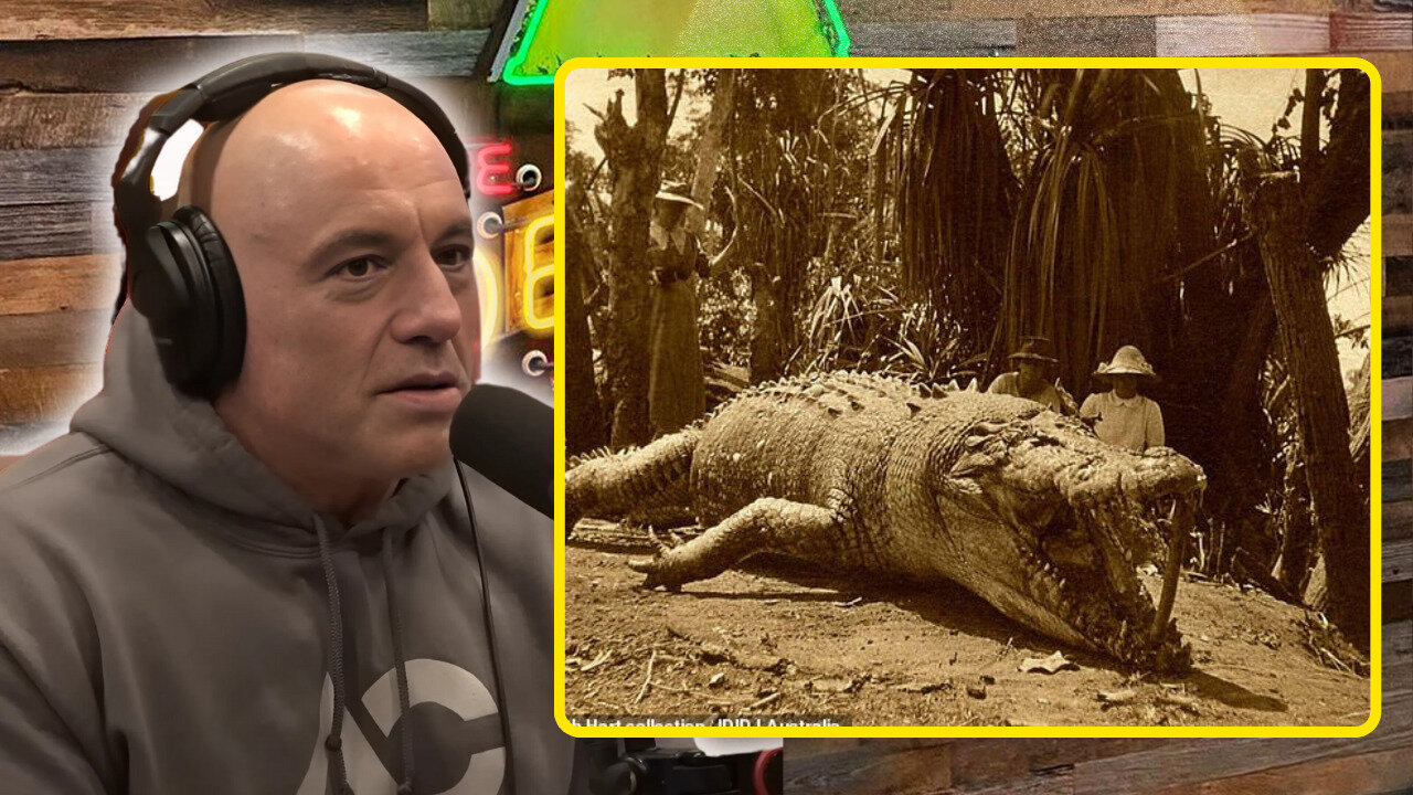 America's Giant Crocs: Nature's Ancient Monsters | Joe Rogan