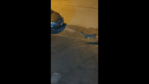 there goes my neighbor's garden