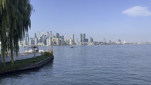 Beautiful Toronto Skyline